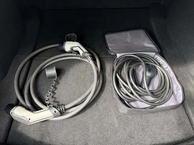 Tesla Model 3 Range Plus 2020 Elektrisch 9