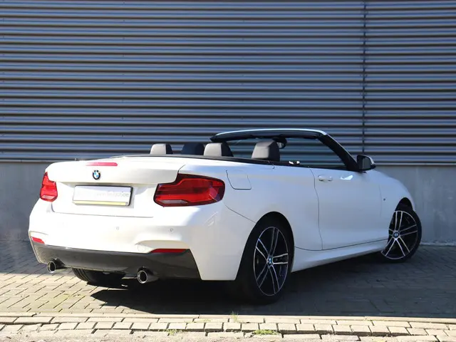 BMW 2 Serie Cabrio 220i 2019 Benzine 3