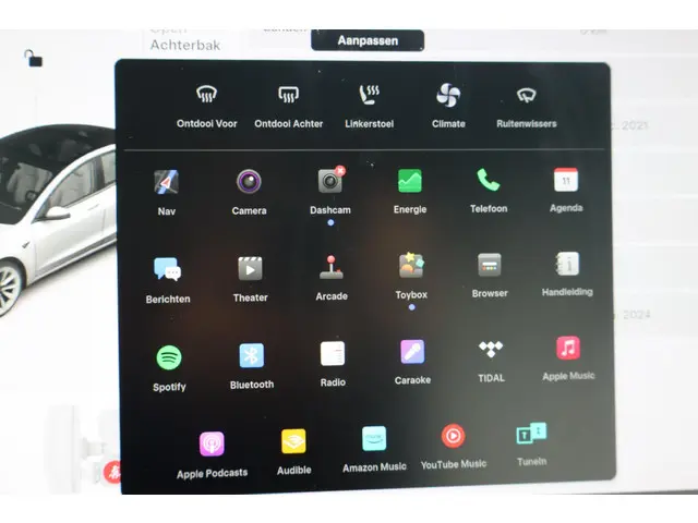 Tesla Model 3 Long Range AWD 75 kWh 2021 Elektrisch 45