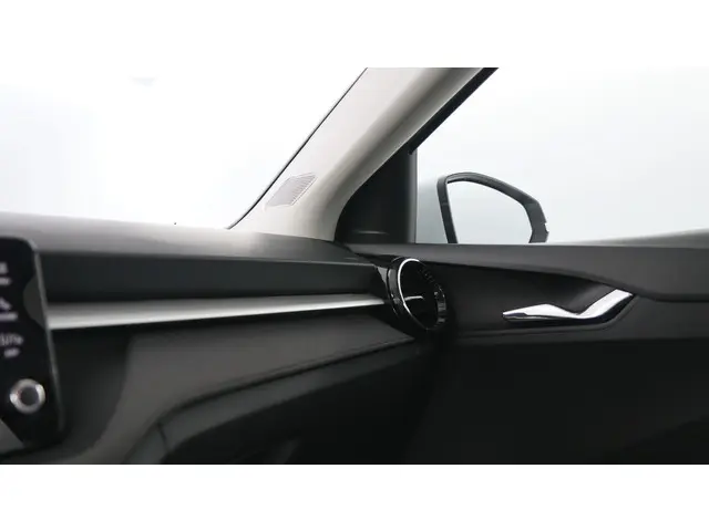 Škoda Fabia 1.0 TSI 115pk Selection DSG 2024 Benzine 35