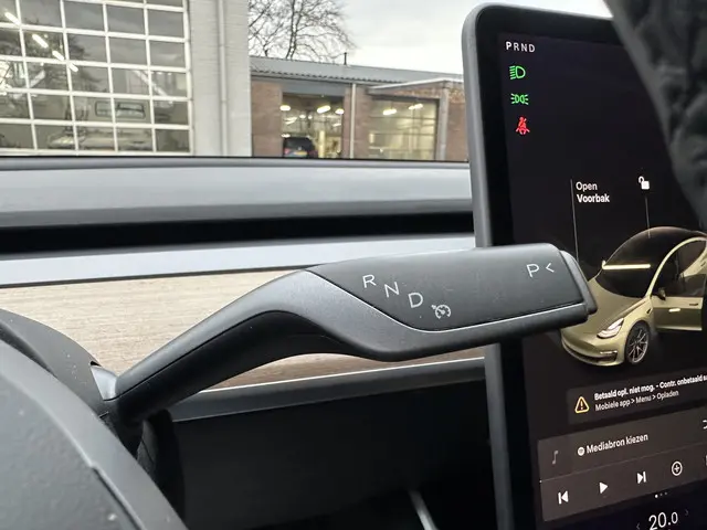 Tesla Model 3 Long Range AWD 75 kWh 2019 Elektrisch 18
