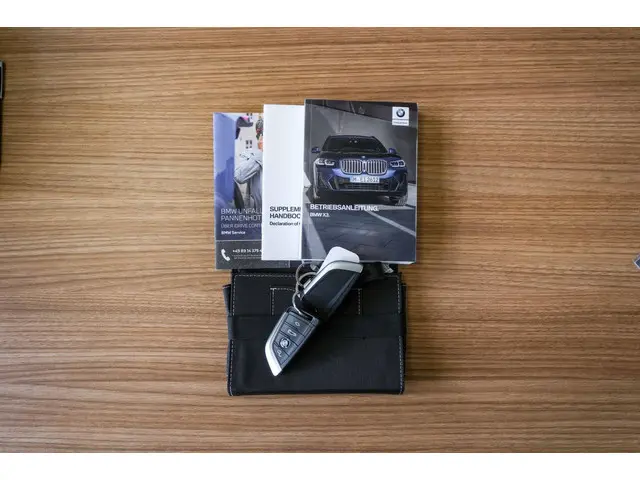 BMW X3 XDrive20d High Executive|PANO|CAM|LEDER 2022 Diesel 32