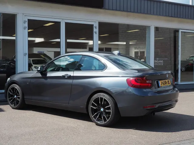 BMW 2 Serie Coupé 220i High Executive 2014 Benzine 20