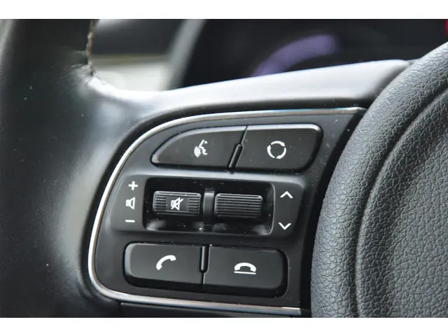 Kia e-Niro ExecutiveLine 64 kWh 2020 Elektrisch 10
