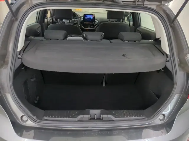 Ford Fiesta 1.1 Trend 2019 Benzine 12
