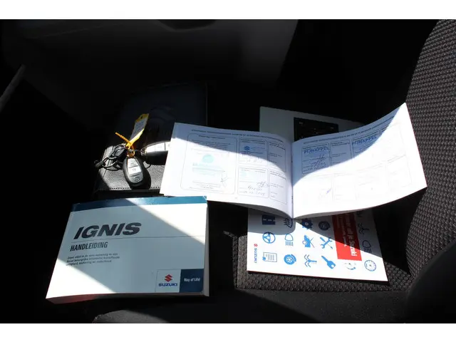 Suzuki Ignis 1.2 Stijl Smart Hybrid 2018 Benzine 30