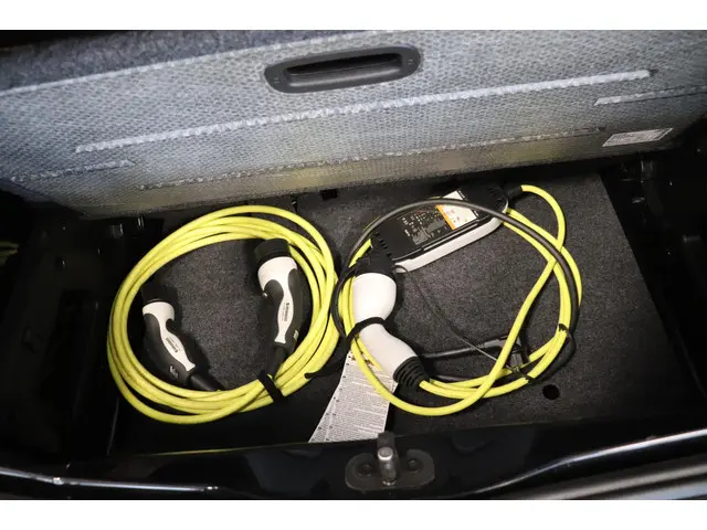 SEAT Mii Electric Plus 2020 Elektrisch 18