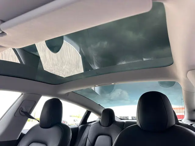 Tesla Model 3 Standard RWD Plus 60 kWh 2020 Elektrisch 18