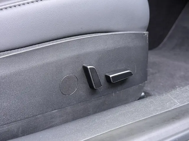 Tesla Model 3 Standard RWD Plus 60 kWh 2023 Elektrisch 41