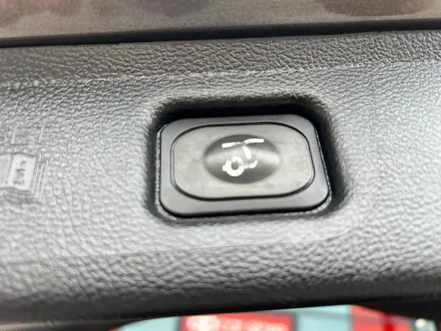 Ford S-Max 2.0 EcoBoost Titanium 7p. 2018 Benzine 24