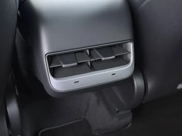 Tesla Model Y Long Range AWD 75 kWh 2022 Elektrisch 25