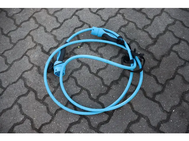 Tesla Model 3 Long Range AWD 75 kWh 2021 Elektrisch 19