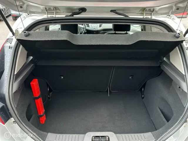 Ford Fiesta 1.5 TDCi Topstaat 2015 Diesel 22