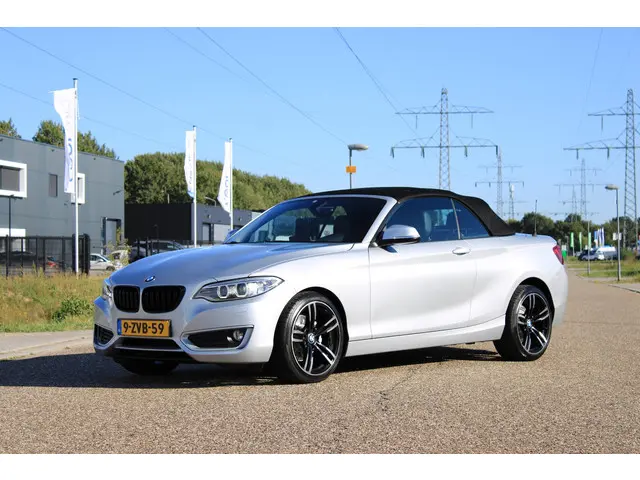 BMW 2 Serie Cabrio 220i 2015 Benzine 14