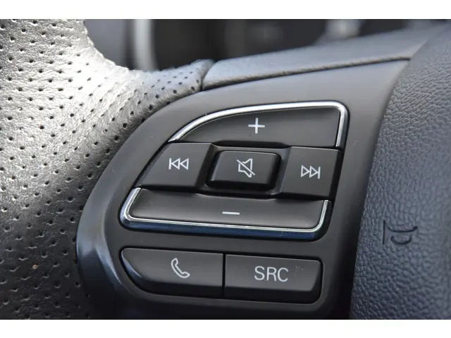 MG ZS-EV Luxury 45 kWh 2020 Elektrisch 10