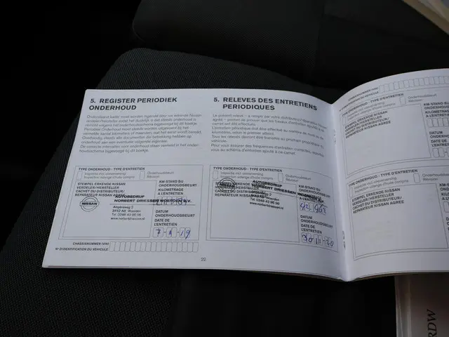 Nissan NV400 2.3 DCI L2H2 OPTIMA 2017 Diesel 15