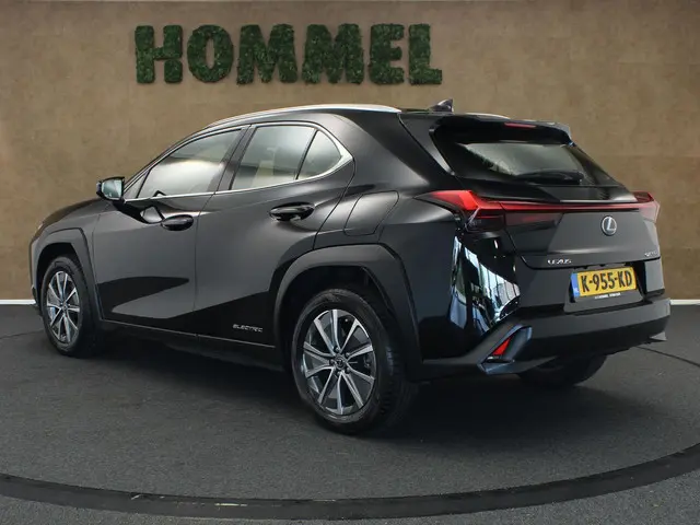 Lexus UX 300e Business 54 kWh 2020 Elektrisch 14