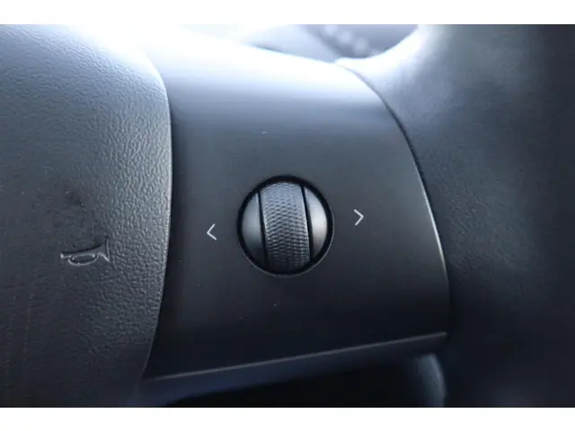 Tesla Model 3 Performance AWD 75 kWh 2019 Elektrisch 24