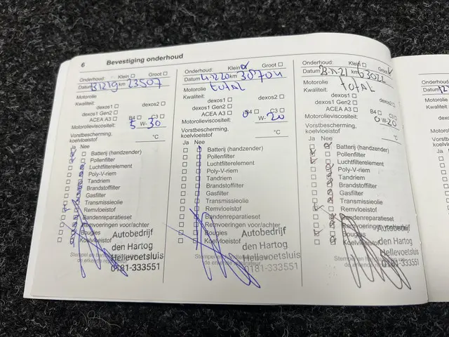 Opel Corsa 1.0 Turbo Black Roof Edition 2017 Benzine 38