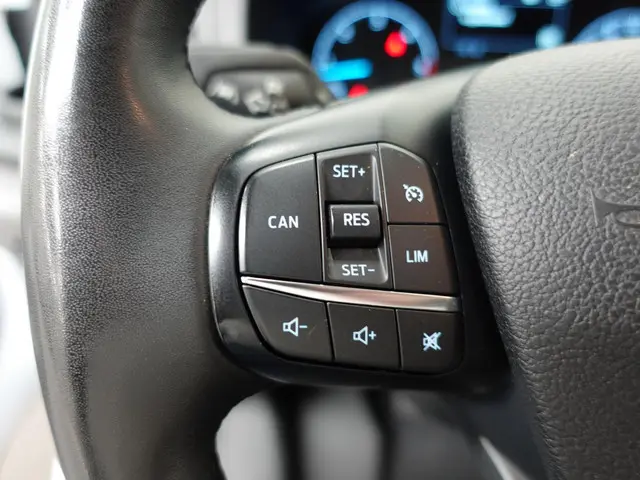 Ford Transit 350 2.0 TDCI L4H3 Trend 2024 Diesel 9