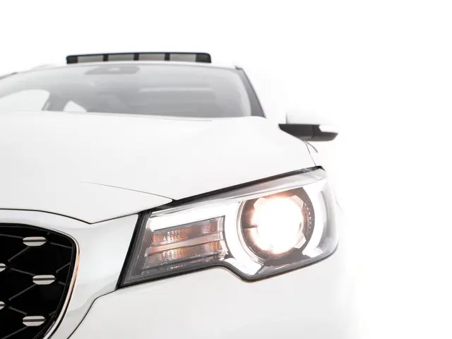 MG ZS-EV Luxury 45 kWh 2019 Elektrisch 29
