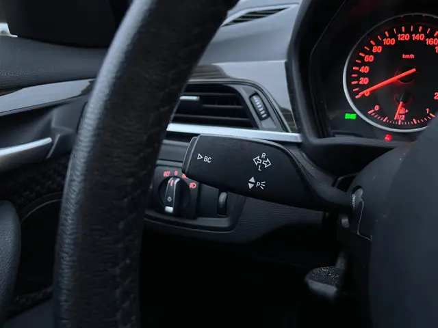 BMW X1 XDrive20i High Executive 2017 Benzine 14