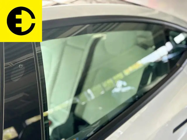Tesla Model 3 Standard RWD Plus 60 kWh 2021 Elektrisch 39