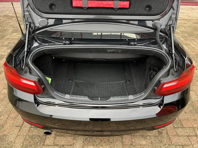 BMW 2 Serie Cabrio 220i 2015 Benzine 38