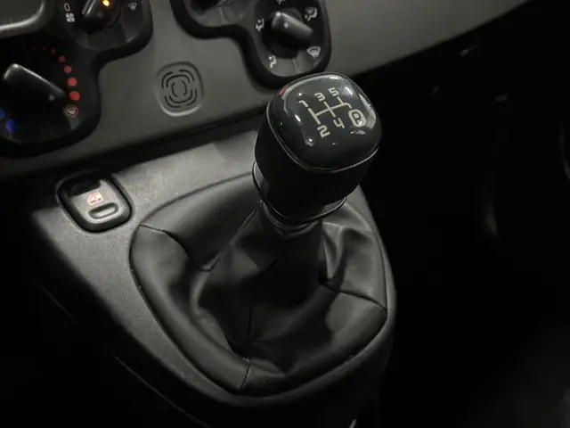 Fiat Panda 1.2 Edizione Cool - Airco - NAP 2014 Benzine 18