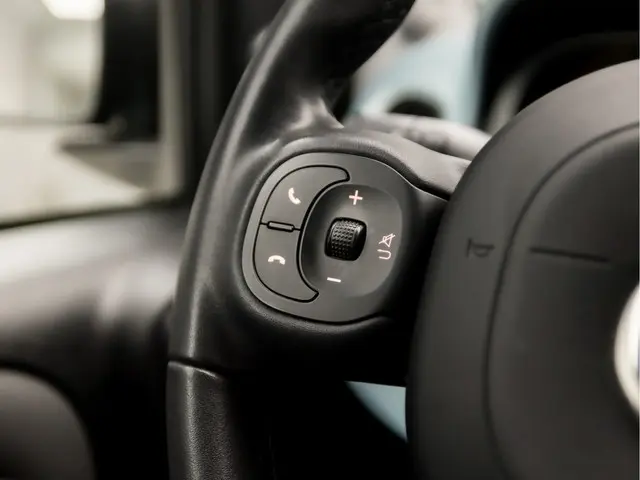 Fiat Panda 1.0 Cross Sport 2020 Benzine 20