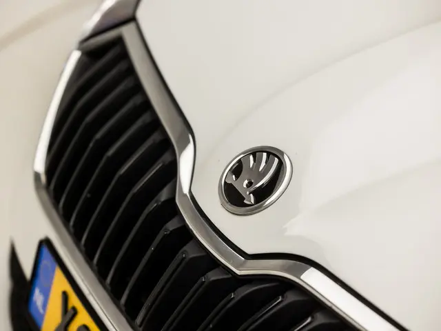 Škoda Fabia Combi 1.0 Luxury 2019 Benzine 33