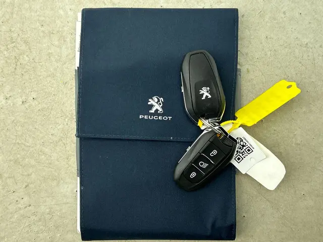 Peugeot e-208 EV Allure 50 kWh 2020 Elektrisch 28