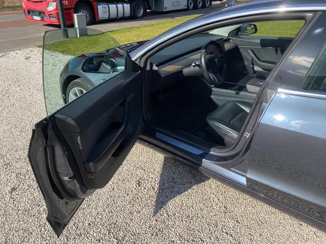 Tesla Model 3 Long Range AWD 75 kWh 2019 Elektrisch 10