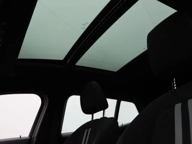 BMW X2 xDrive25e 2023 Hybride Benzine 9