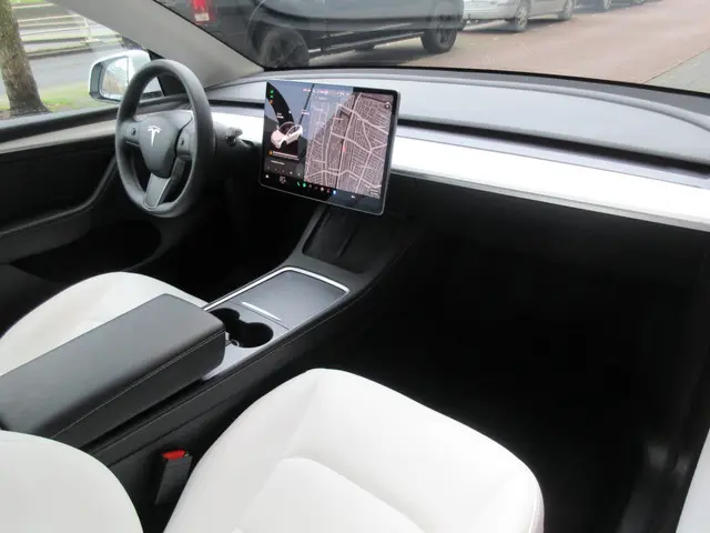 Tesla Model Y Long Range AWD 75 kWh 2021 Elektrisch 10