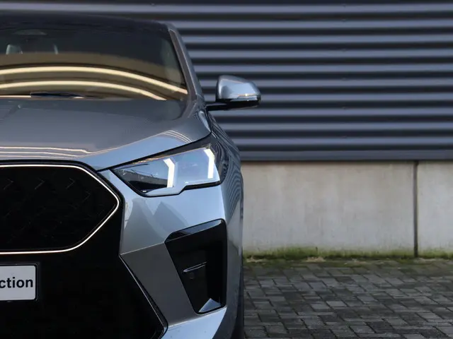 BMW X2 sDrive20i 2026 Benzine 33