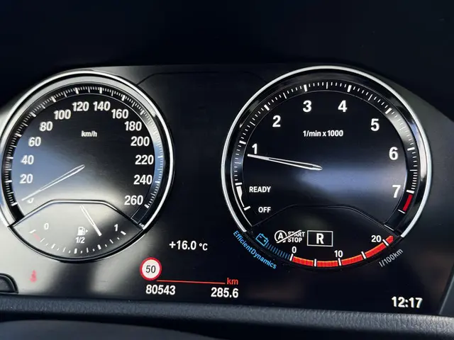 BMW X2 sDrive20i High Executive 2023 Benzine 12
