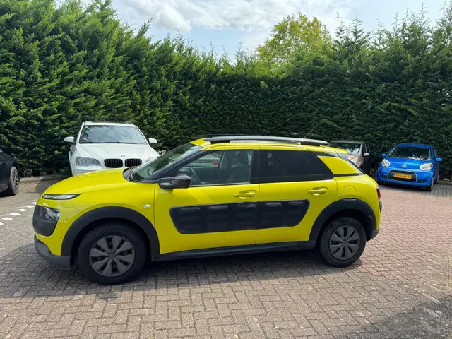 Citroën C4 Cactus 1.6 BlueHDi Business 2015 Diesel 15