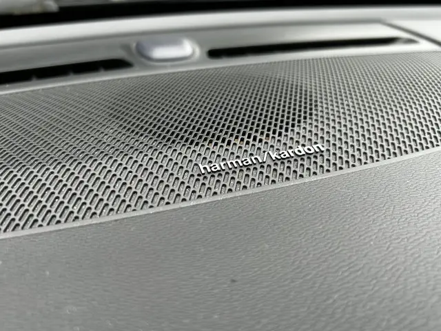 Volvo XC40 Recharge P8 AWD R-Design 2020 Elektrisch 20