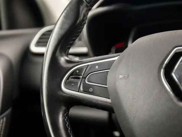 Renault Kadjar 1.2 TCe Bose Sport 2018 Benzine 21