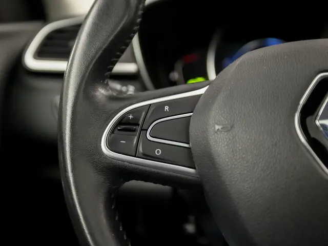 Renault Kadjar 1.2 TCe Intens Sport 2015 Benzine 20