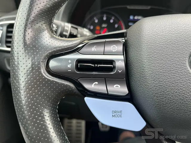 Hyundai i30 2.0 T-GDI N2 Performance|Pano 2018 Benzine 20