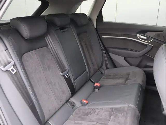 Audi e-tron 50 quattro 71 kWh 2020 Elektrisch 28