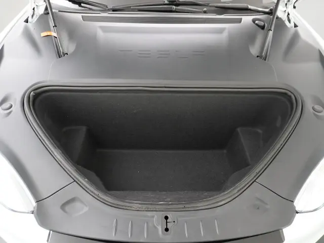 Tesla Model S Long Range RAVEN 2020 Elektrisch 15