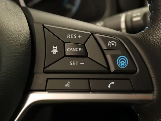 Nissan Leaf e+ Tekna 62 kWh 2019 Elektrisch 29