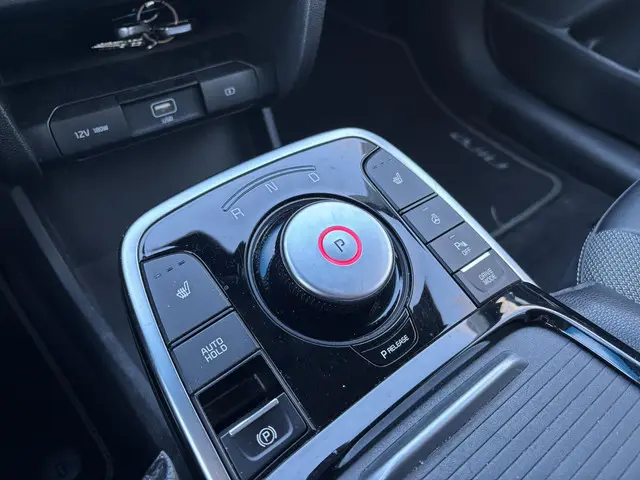 Kia e-Niro Edition 64 kWh 2021 Elektrisch 25