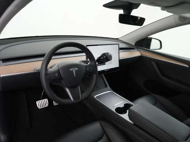 Tesla Model Y Performance AWD 75 kWh 2022 Elektrisch 17