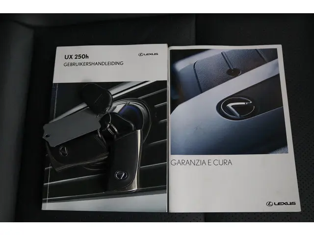 Lexus UX 250h Luxury Line 2020 Hybride Benzine 11