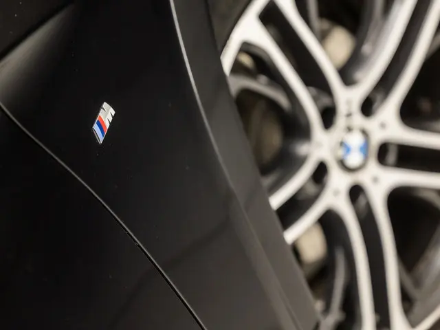 BMW X4 xDrive20i M Sport High Executive 2015 Benzine 36