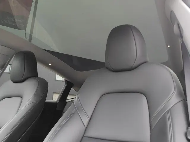 Tesla Model Y Long Range AWD 75 kWh 2023 Elektrisch 19